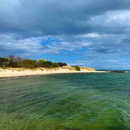 Familienfreundliches Reetdachhaus Weissdorn 2 Puddemin