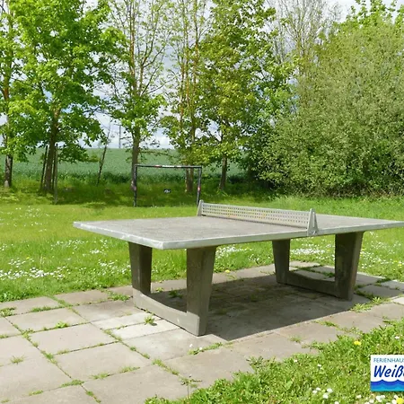 Familienfreundliches Reetdachhaus Weissdorn 2