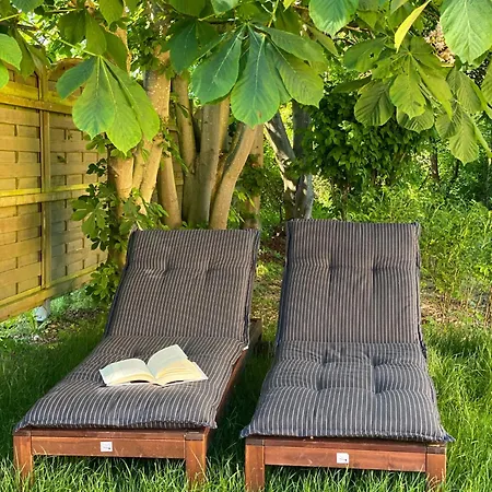 Ferienhaus Familienfreundliches Reetdachhaus Weissdorn 2 *