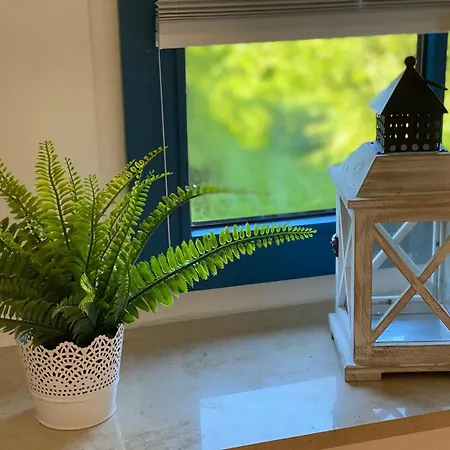 Familienfreundliches Reetdachhaus Weissdorn 2 Hébergement de vacances