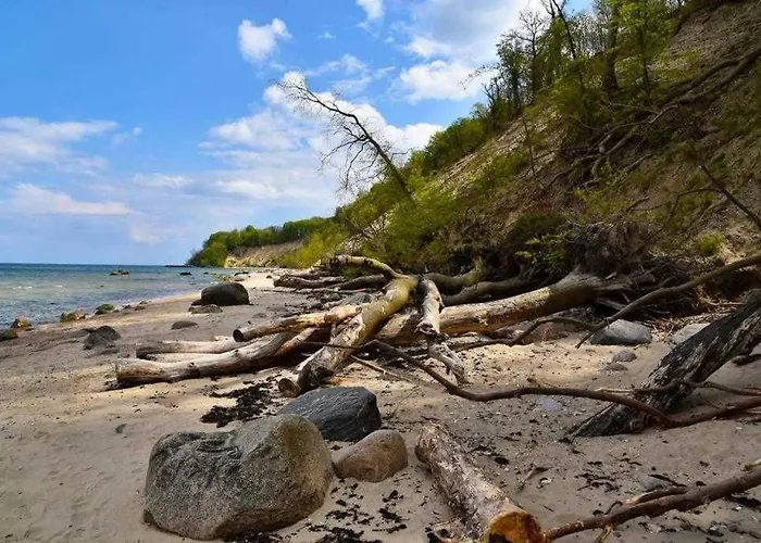 Vakantiehuis Familienfreundliches Reetdachhaus Weissdorn 2 Puddemin